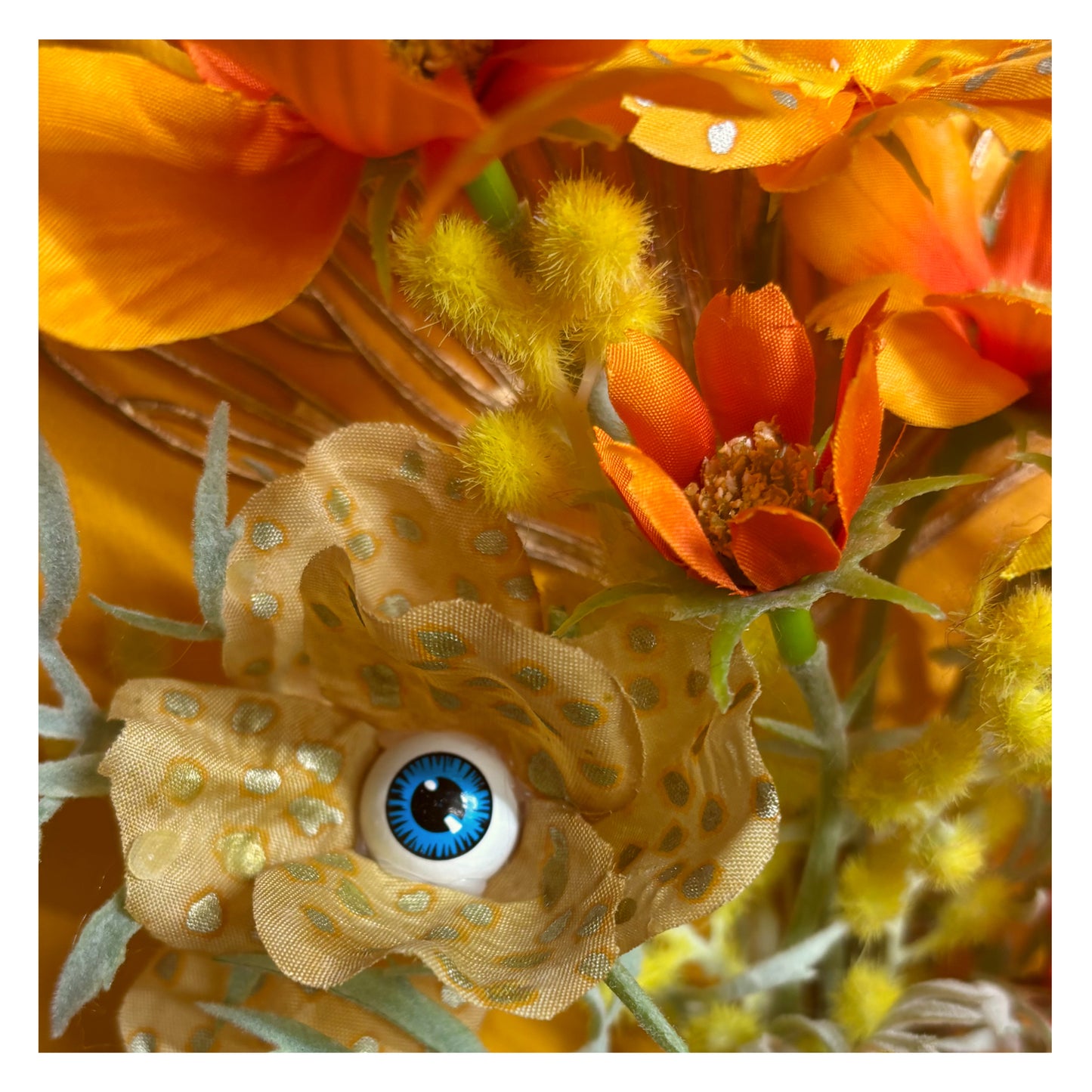 Peeping Petals