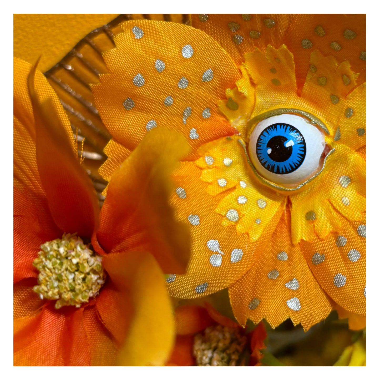 Peeping Petals